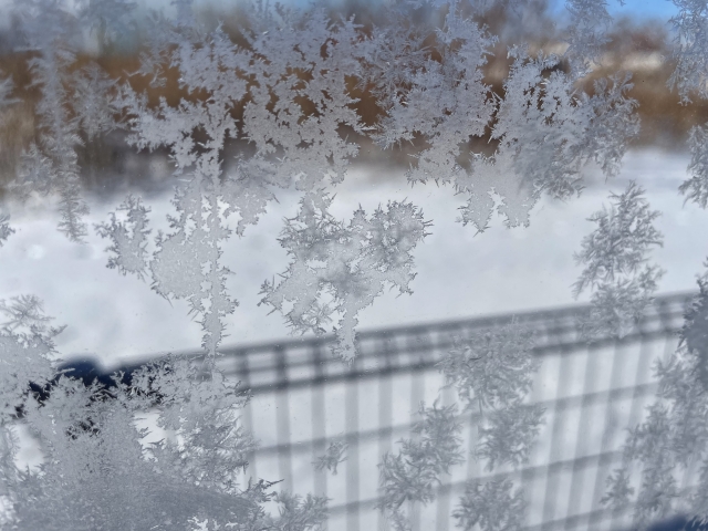 窓に付いた霜（凍った結露）